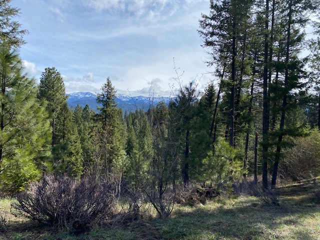 View of the Mountains in Garden Valley